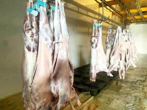 رئیس دامپزشکی کنگان: تأمین گوشت از کشتارگاه‌های مجاز انجام می‌شود