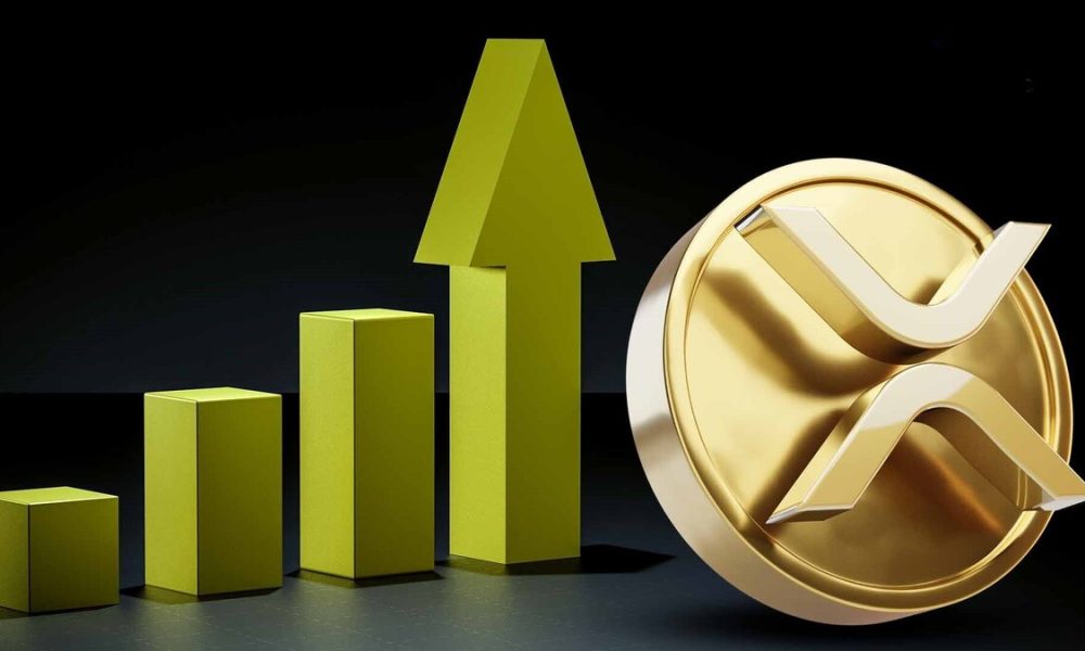 سه نمودار صعودی ریپل که باید در سال ۲۰۲۶ دنبال کرد