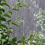 شاخص کیفیت هوای تهران امروز چهارشنبه 15بهمن 1404/ هوای پایتخت پاک است