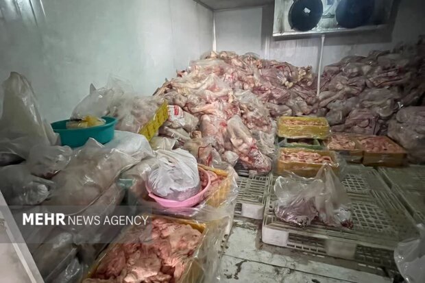پلمب سردخانه غیرمجاز و کشف فرآورده خام دامی فاسد در حاشیه تبریز