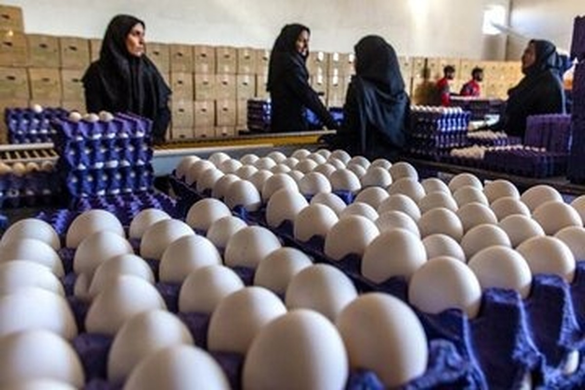 پیشتازی بی رقیب ایران در جمع بزرگان/ ایران غول‌های خاورمیانه را جا گذاشت 