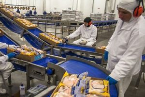 افزایش هزینه حمل‌ونقل کشتی‌ها در جنگ و تغییر مسیر به دور آفریقا/ رشد ۴۰درصدی هزینه تولید صنایع غذایی