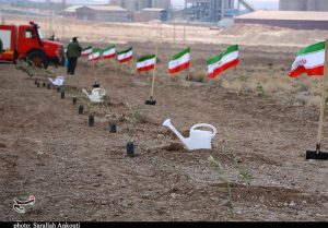 پیگیری طرح رهبر شهید برای کاشت یک میلیارد درخت با قوت بیشتر