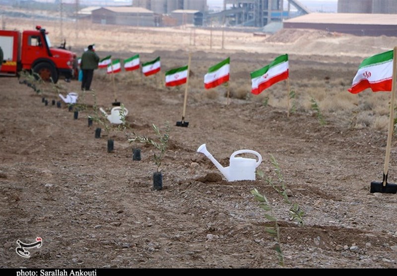 پیگیری طرح رهبر شهید برای کاشت یک میلیارد درخت با قوت بیشتر