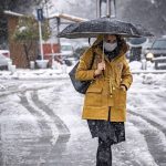 بارش برف و باران در این نقاط/ برای کوهنوردان هشدار صادر شد