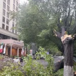 تازه‌ترین آمار از تعداد مصدومان طوفان امروز در تهران