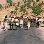 تاکنون حدود ۳۰ درصد از عشایر به نزدیکی مرزهای استان اصفهان رسیده‌اند