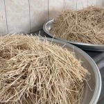 توزیع آش نذری توسط بسیجیان قوچانی