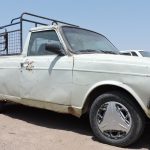 توقیف ۲ وانت مشکوک در میامی؛ ۴۳ رأس دام قاچاق کشف شد