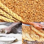 ذخایر آرد به اندازه کافی برای نانوایی‌ها موجود است