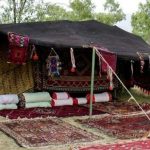 روایت یک جهش اقتصادی در کویر؛ سیاه چادرها برند شدند