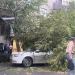 سرعت هولناک وزش باد در طوفان امروز تهران به ۹۰ کیلومتر بر ساعت رسید/ طوفان تا کی ادامه دارد؟