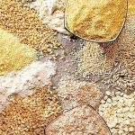 محدودیت واردات از طریق بنادر جنوبی کشور / اولین محموله نهاده دامی نیز از بنادر شمالی وارد کشور شده است