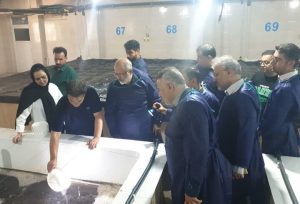 مدیرکل بازرسی بوشهر: فعالیت های آبزی پروری با تکیه بر دانش توسعه یابد