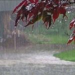 هشدار هواشناسی به تهران ها/ پایتخت در آستانه یک پایان هفته بارانی