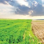 چالش‌های اقلیمی کشاورزی ایران؛ از خشکسالی تا امنیت غذایی