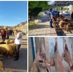 اجرای موفق طرح نظارت بهداشتی عید قربان در کرمانشاه