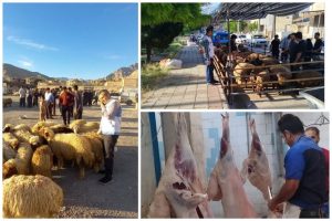 اجرای موفق طرح نظارت بهداشتی عید قربان در کرمانشاه