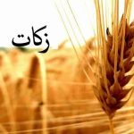 اجرای ۶۲ طرح اشتغالزایی دامداری با زکات در ایلام