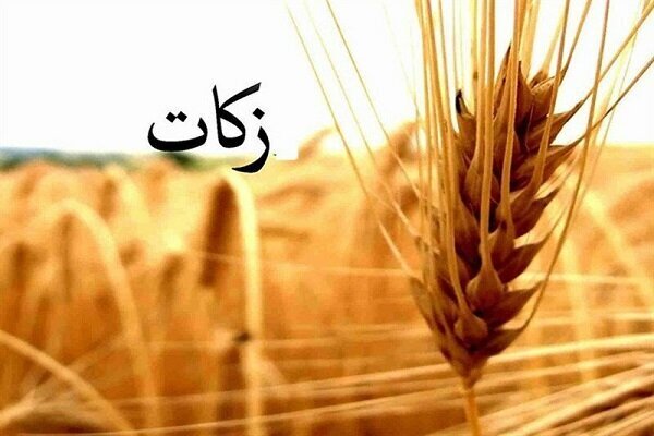 اجرای ۶۲ طرح اشتغالزایی دامداری با زکات در ایلام