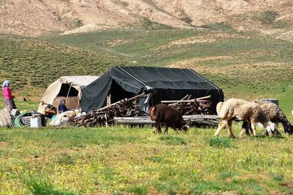 استقرار ۲۵۰۰ خانوار عشایر کوچ‌رو در ییلاقات کرمانشاه