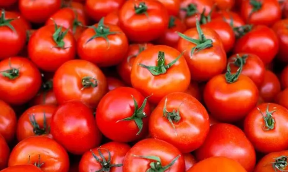بازار صادراتی جان گرفت / دستور تازه گمرک برای خروج آزادانه سه کالای حساس