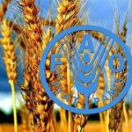 بدون تنوع زیستی، تولید غذا با خطر جدی مواجه است