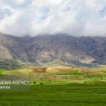 تلفیق دانش بومی و دانشگاهی، کلید مدیریت بهتر مراتع است