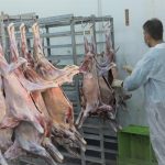 جنگ فعالیت دامپزشکی اصفهان را تعطیل نکرد؛کشف ۵۴تن محصول غیربهداشتی