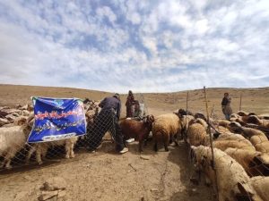 خدمات رایگان دامپزشکی به عشایر صحنه ارائه شد