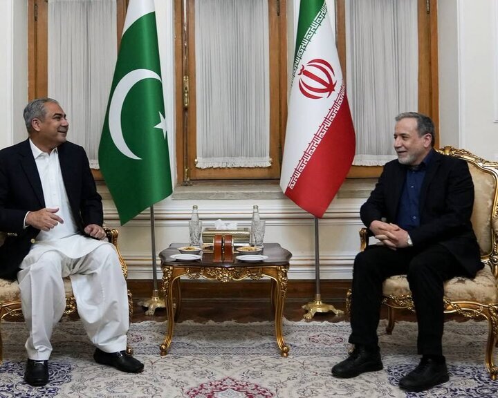 دیدار وزیر کشور پاکستان با عراقچی