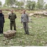 سلیمانی: ۱۲ قطعه کبک از اسارت متخلفان در اسلام‌آبادغرب آزاد شدند