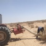 ملخ‌های بومی برای تولید خوراک طیور و آبزیان جارو می‌شوند