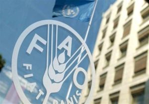 نماینده ایران در فائو: تنگه هرمز پیش از تجاوز علیه ایران باز بود