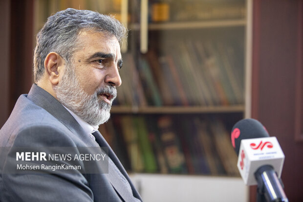 هدف‌گذاری برای تامین برق کشور از انرژی هسته‌ای