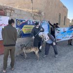 واکسیناسیون بیش از ۲هزار قلاده سگ علیه بیماری هاری در سیستان وبلوچستان