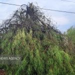وزش باد شدید و احتمال رگبار در راه مرکزی