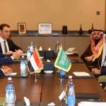گفت‌وگوی وزیران خارجه مصر و عربستان درباره جنگ در منطقه