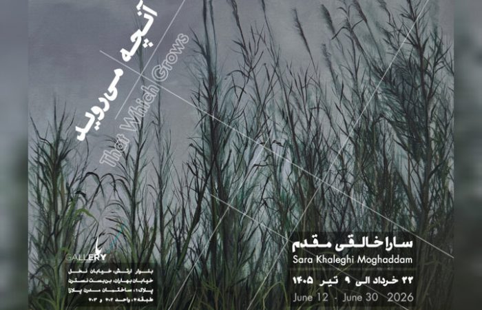 «آنچه می‌روید» به باگالری رسید؛ وفادار به بی‌نظمی جهان