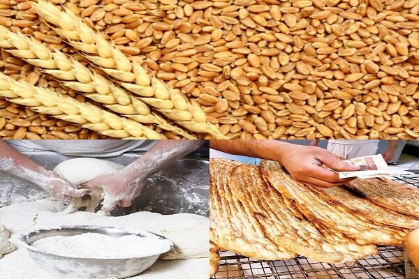 تشدید نظارت‌های میدانی بر واحدهای خبازی ایلام