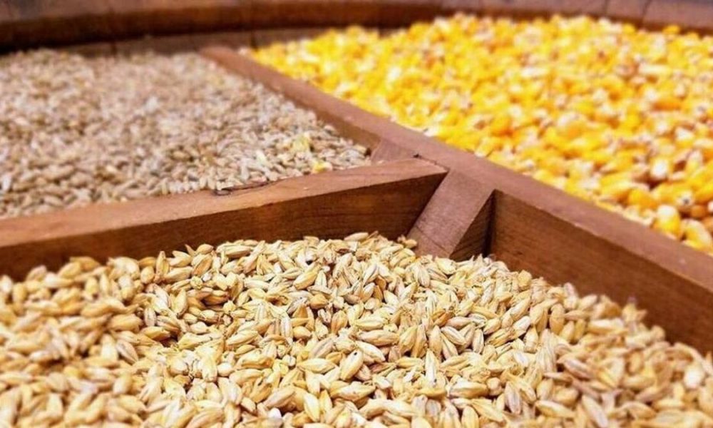جزئیات تازه از واردات نهاده‌های دامی / گردش مالی سالانه به ۸ میلیارد دلار رسید