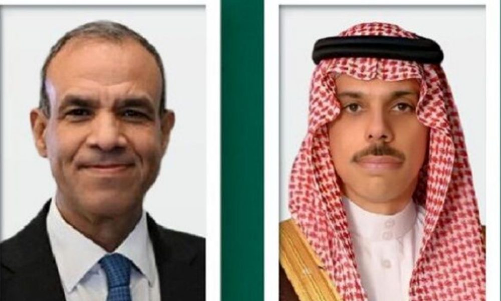 جزئیات گفت‌وگوی وزیران خارجه عربستان و مصر