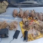 دستگیری ۶ نفر شکارچی غیرمجاز کبک در مراغه