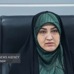 رفیعی: مجلس بر اجرای کامل مفاد تفاهم نظارت مستمر خواهد داشت