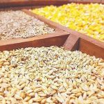 واردات نهاده از آمریکا امنیت غذایی را تهدید می‌کند