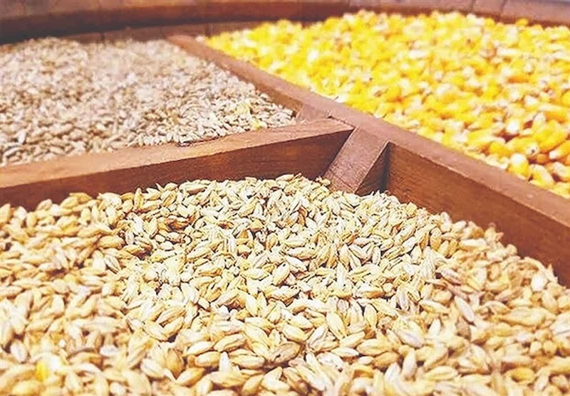 واردات نهاده از آمریکا امنیت غذایی را تهدید می‌کند