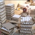 گزارش مهر از کشف ۱۰۰ هزار تخم مرغ فاسد در جنوب تهران