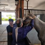 تست مالئیناسیون تک‌سمیان در اسلام‌آباد غرب اجرا شد