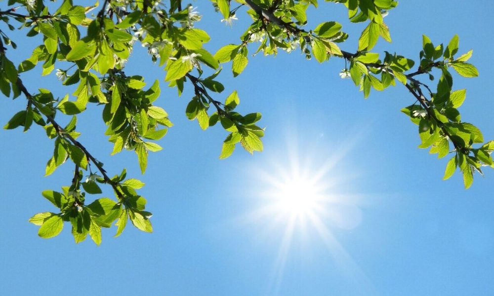پیش‌بینی وضعیت جوی کشور تا هفته آینده / تهران تا ۴۰ درجه گرم می‌شود