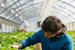 ببینید |65 درصد مهندسان کشاورزی بیکارند یا شغل تخصصی ندارند